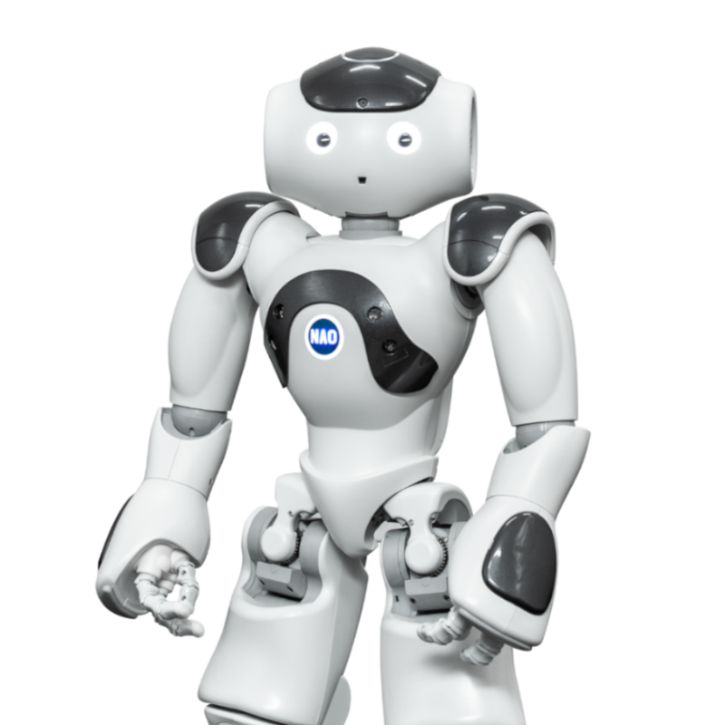 Humanizing NAO friendly humanoid robot